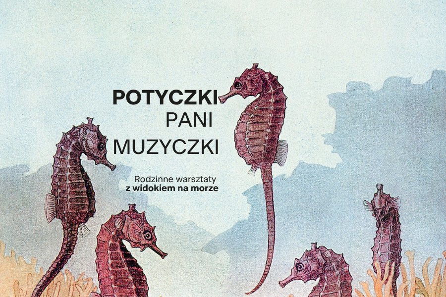Pani Muzyczka's Skirmishes — family workshops with a view of the sea | FIRST MUSICAL STEPS