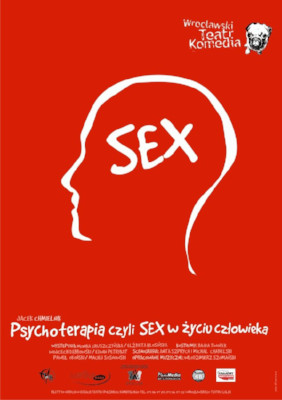 Psychotherapy or sex in a person's life