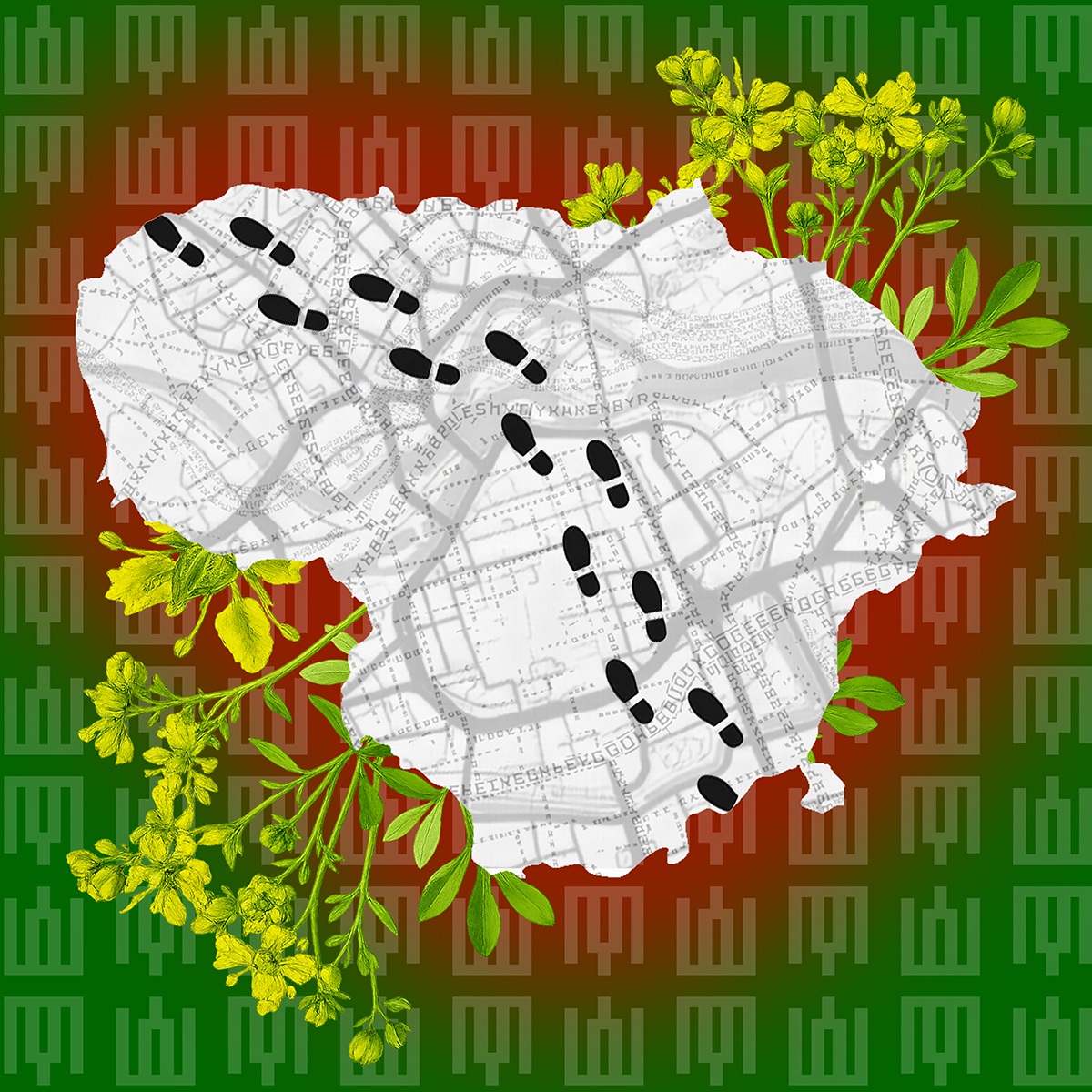 Lithuanian themes in Wroclaw | Labas! Hello!
