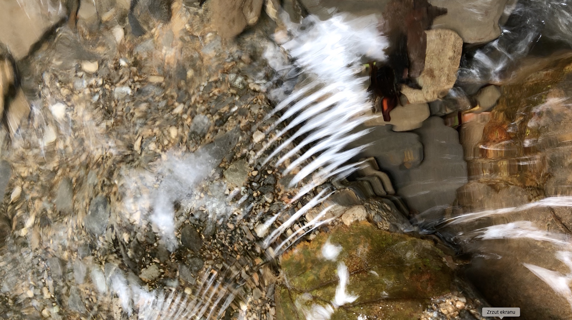“River Speech” — workshop with Anna Nacher