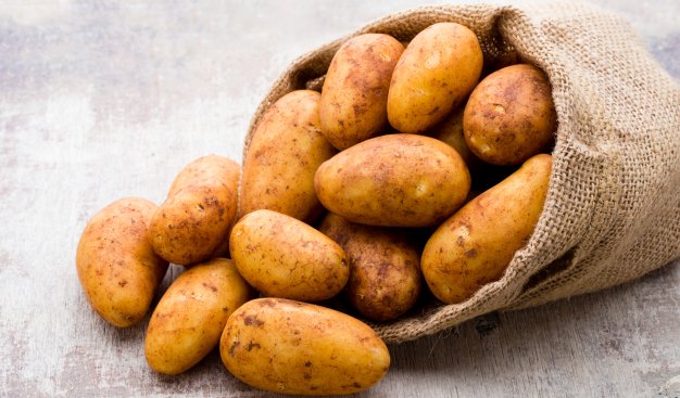 Potato Day
