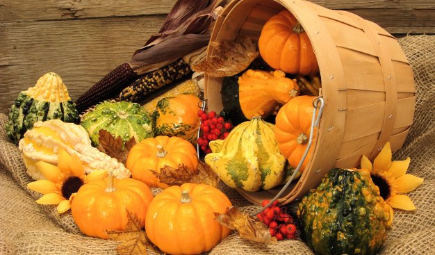 Taste Festival: Golden, sweet autumn