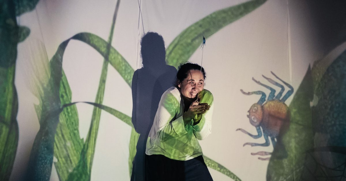 “What in the grass squeaks” — a performance of the Figurki Theater