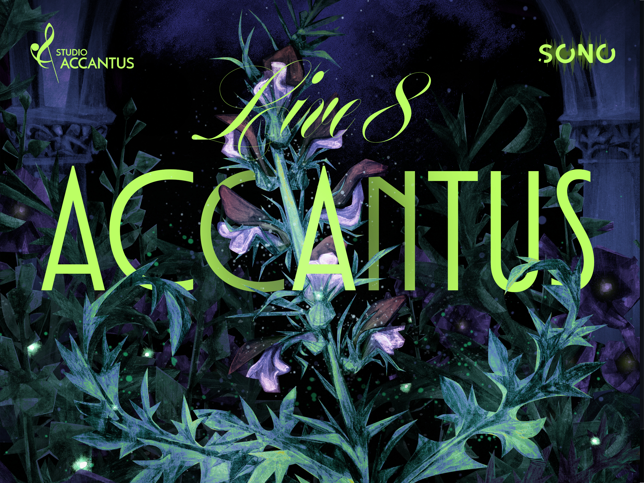 Accantus Live 8