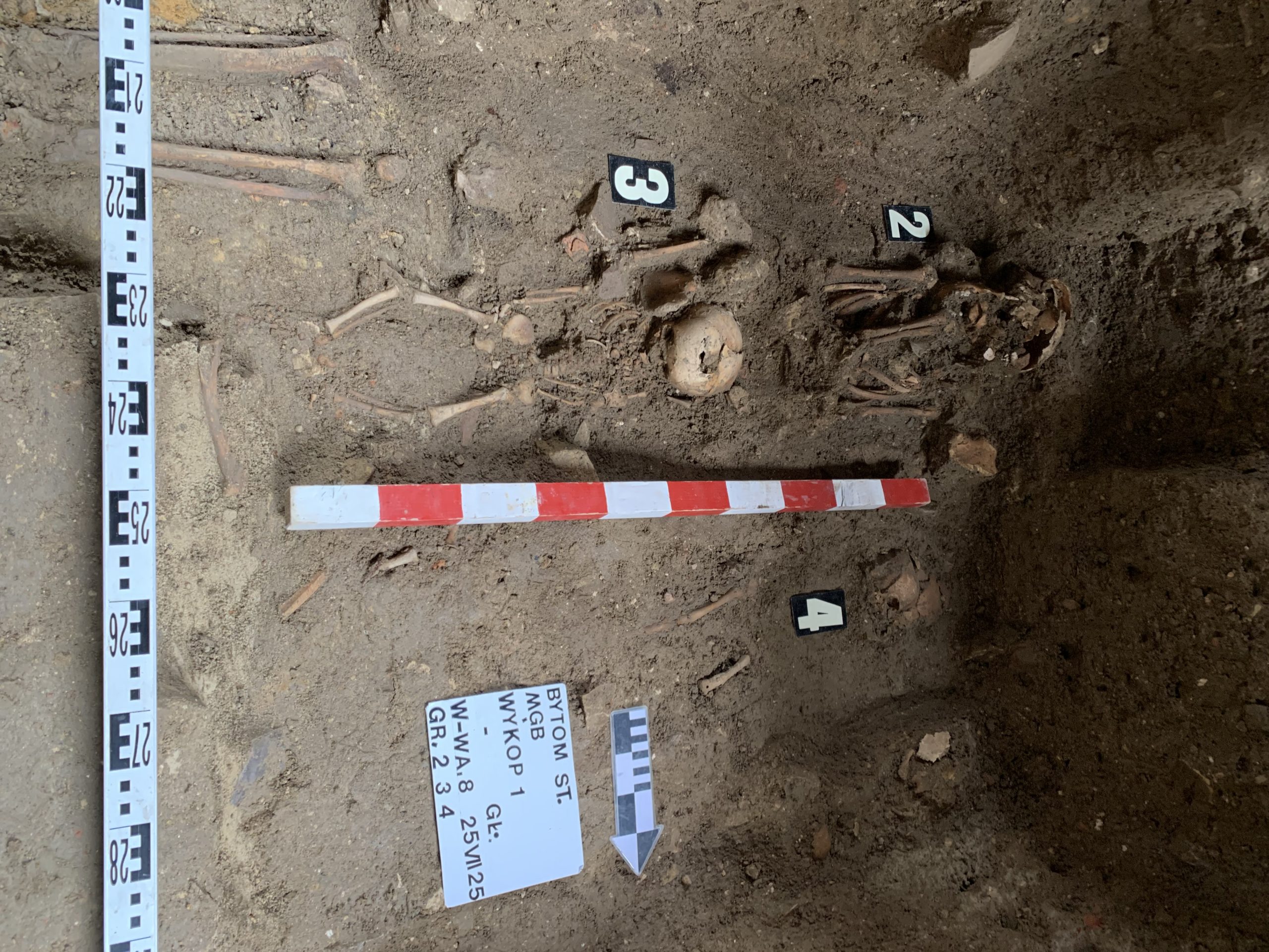 Archaeology is not so ossified — see for yourself! International Day of Archaeology
