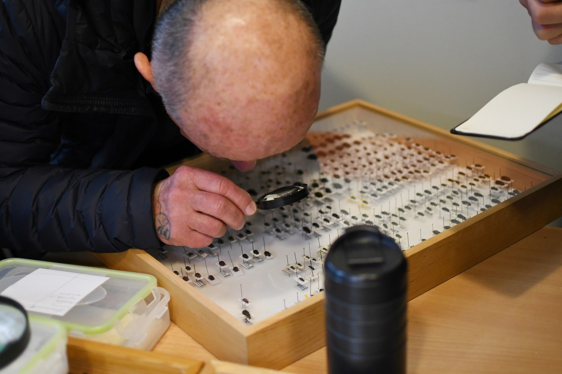 IV Międzynarodowy Dzień Wymiany Owadów i Targi Entomologiczne