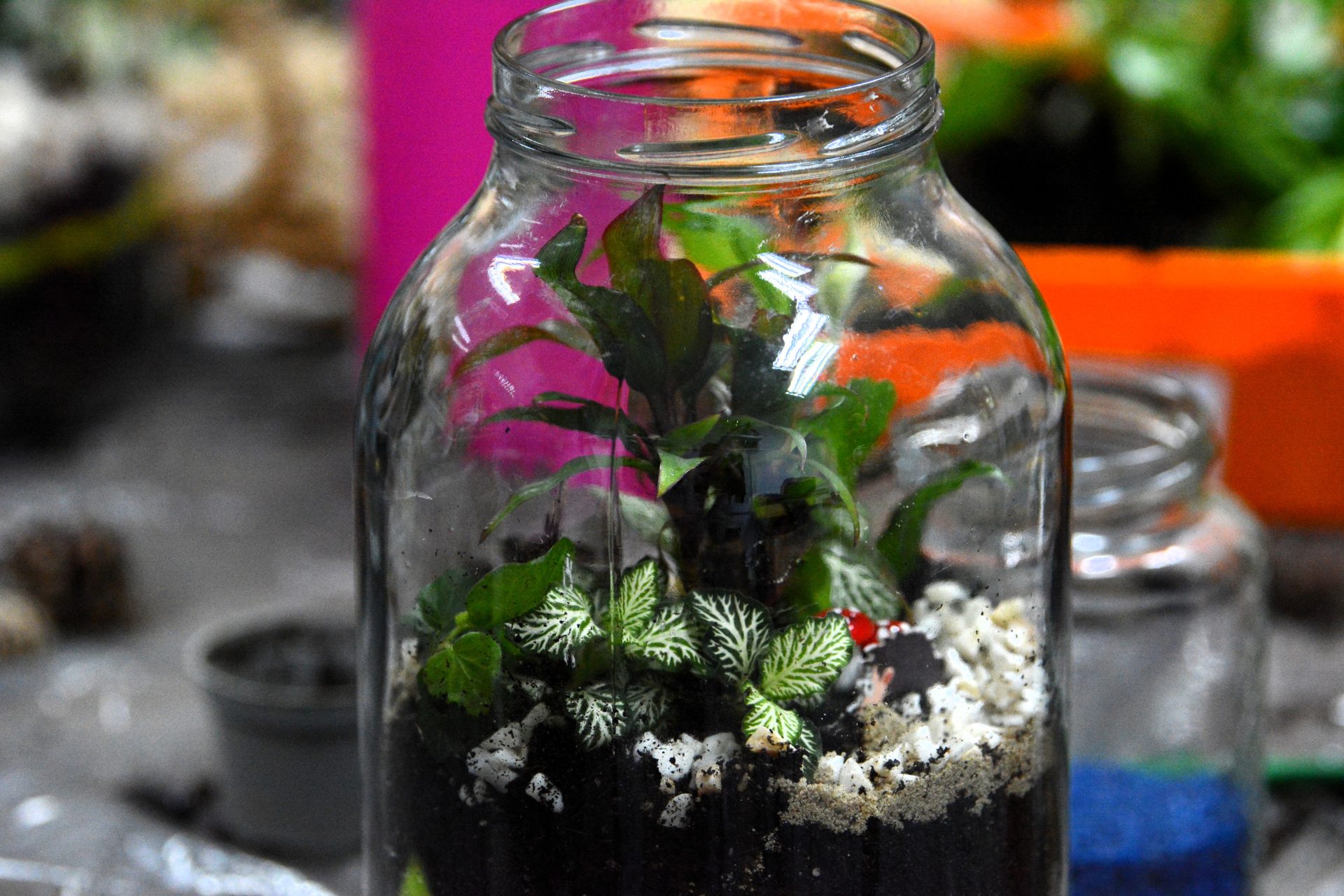 Workshop for women: Winter forest in a jar