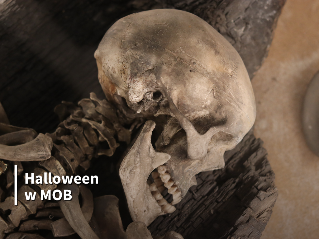 Archaeology with a thrill