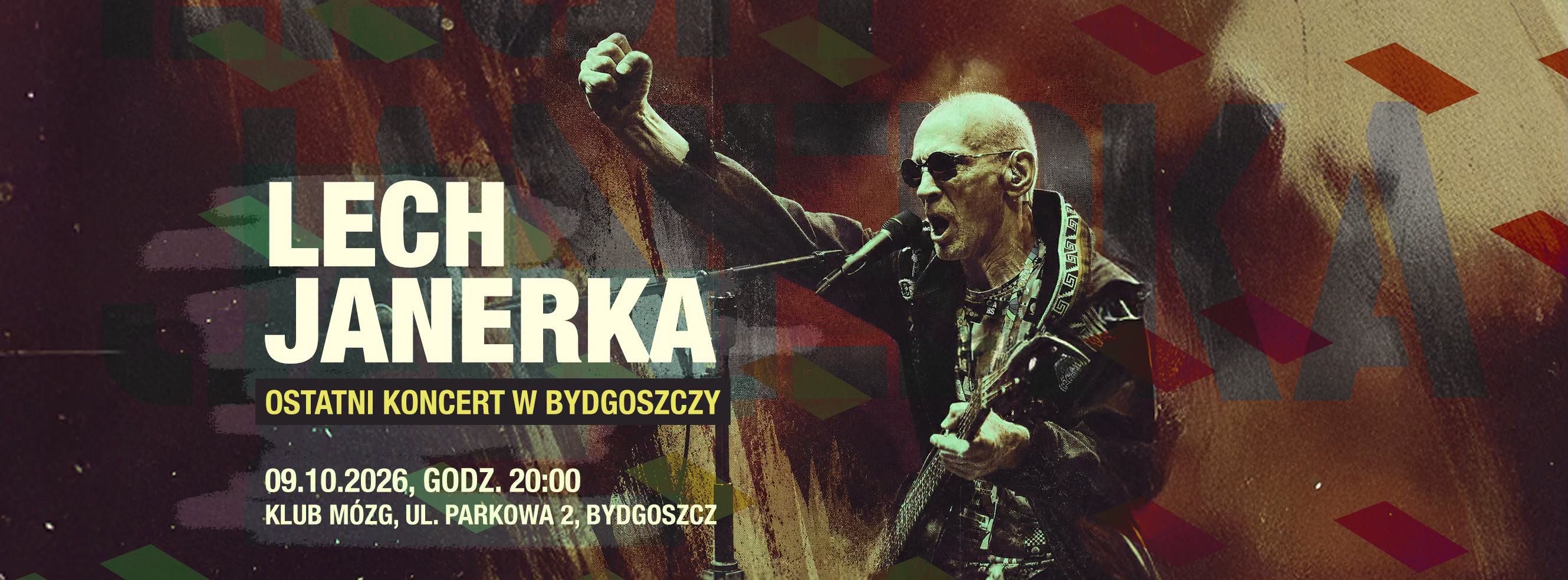 Lech Janerka - concert