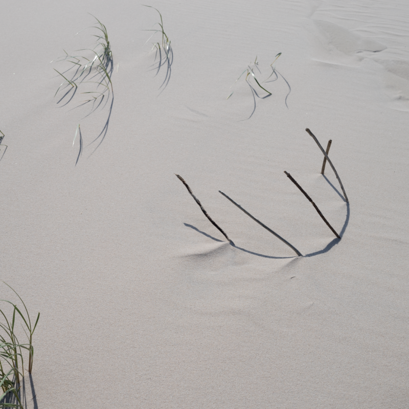 Łukasz Skąpski | Rysunki cieniem