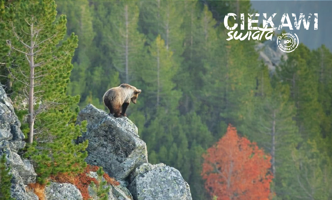 15th FKipCŚ: Zenon Wojtas: In the wildest heart of Europe + premiere of the film Wild Carpathians