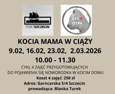 Noworodek w kocim domu