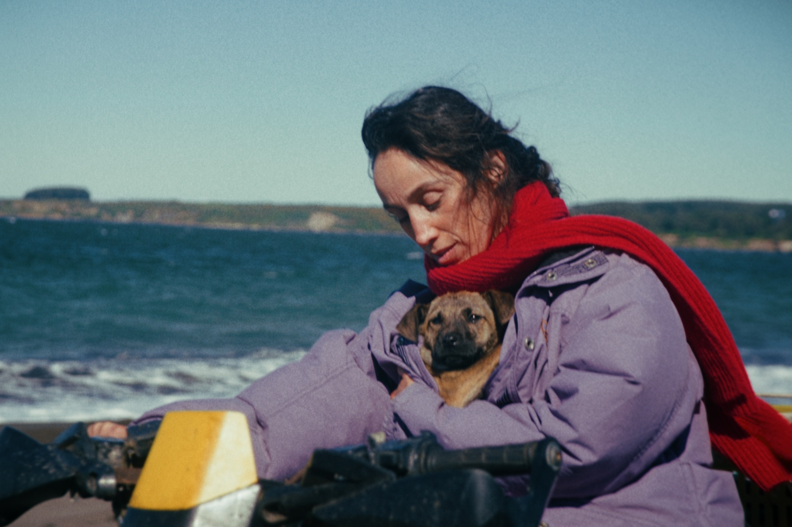 Best Film on Tour: The Bitch