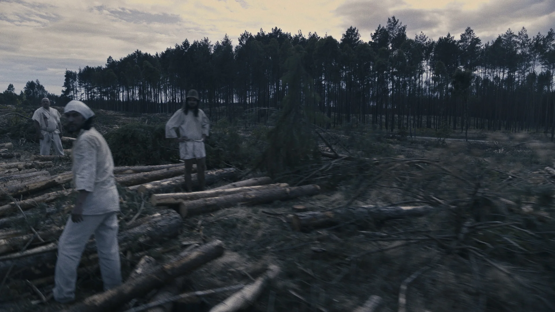 “Long live the apocalypse.” Meeting with Jan Sowa as part of the series “New ecophilosophies of art”