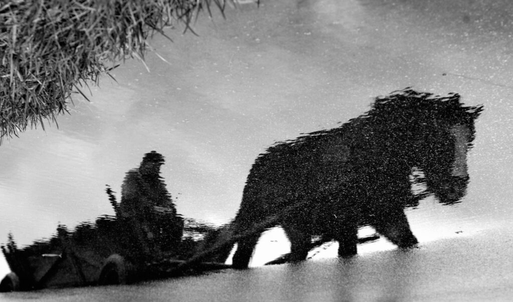 CZWARTKI U WIKTORA | pokaz zdjęć Ewy i Sławomira Stempczyńskich pt. „Ostatnie lata takiej wsi…”