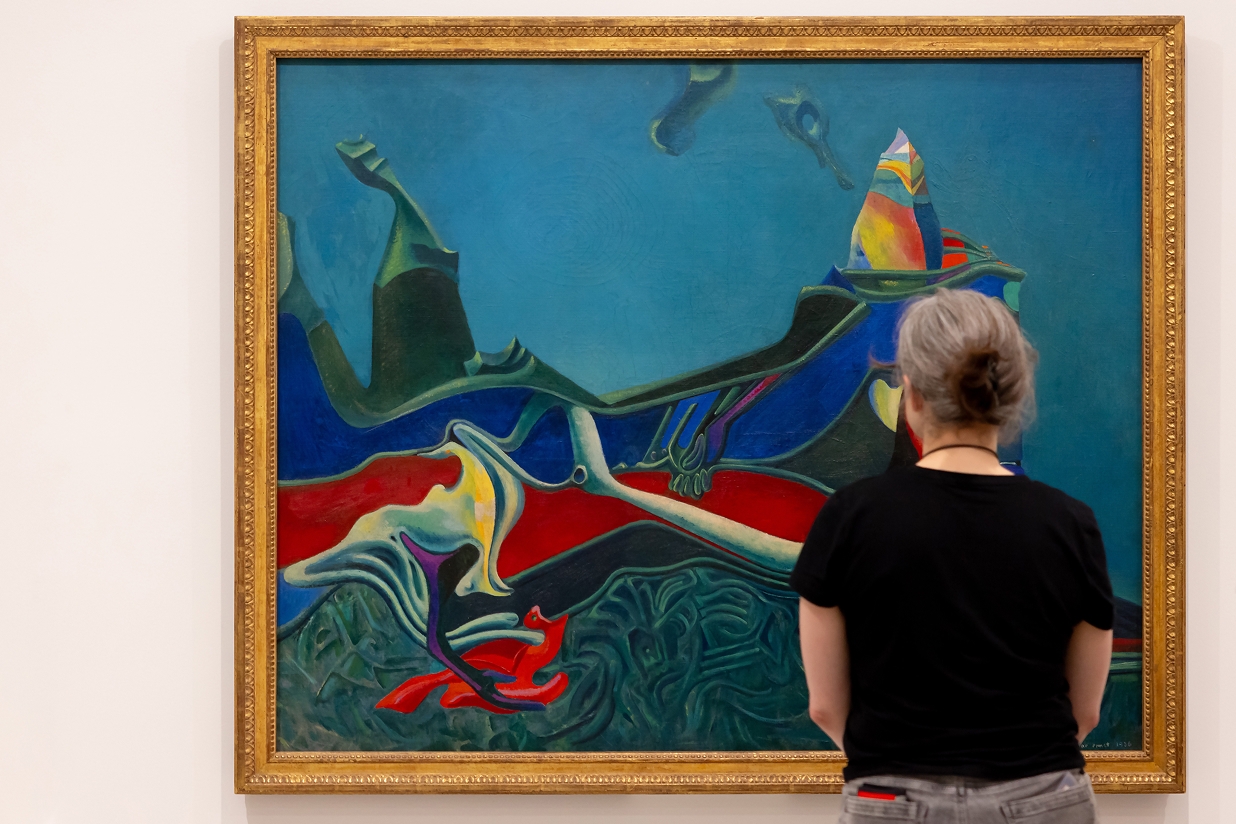 Guided tour of current exhibitions