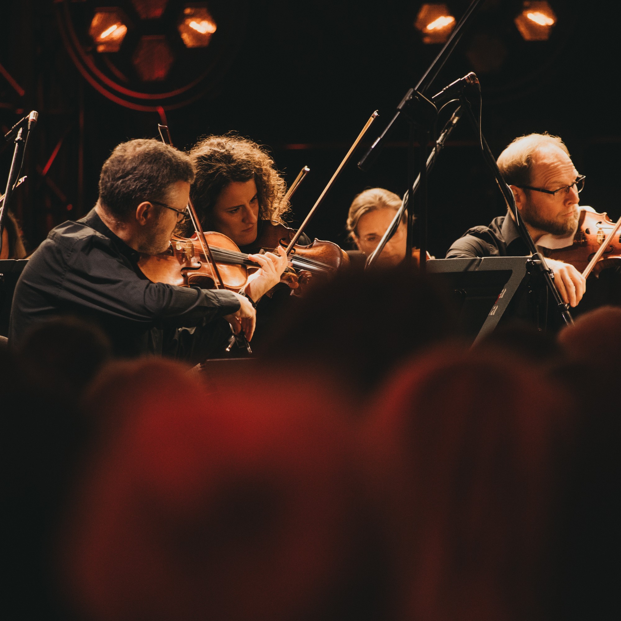 Chrzęszczyk / Sinfonia Varsovia / Haufa