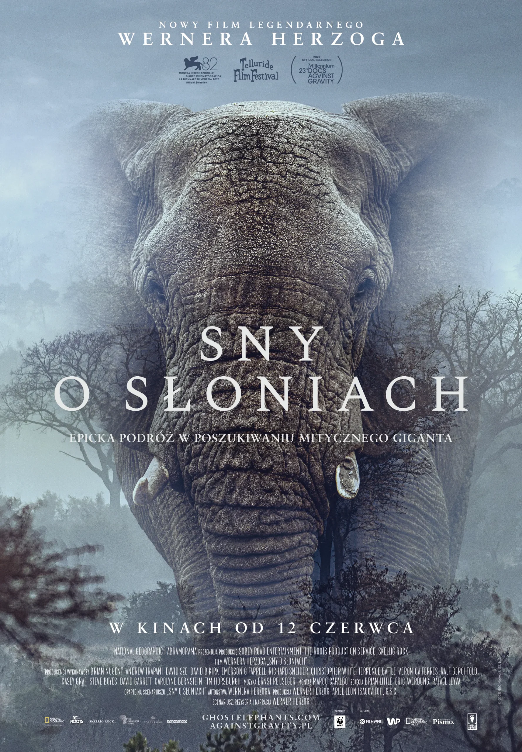 Dreams of Elephants