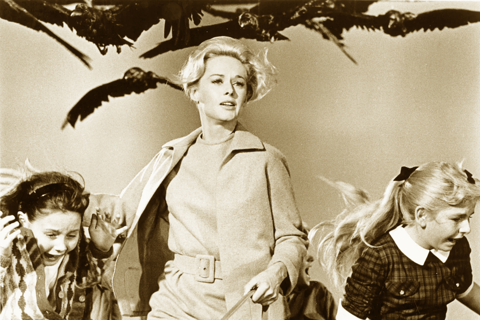 Hitchcock & Chabrol: The Birds