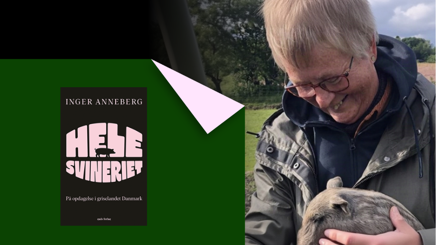 Lecture - Inger Anneberg