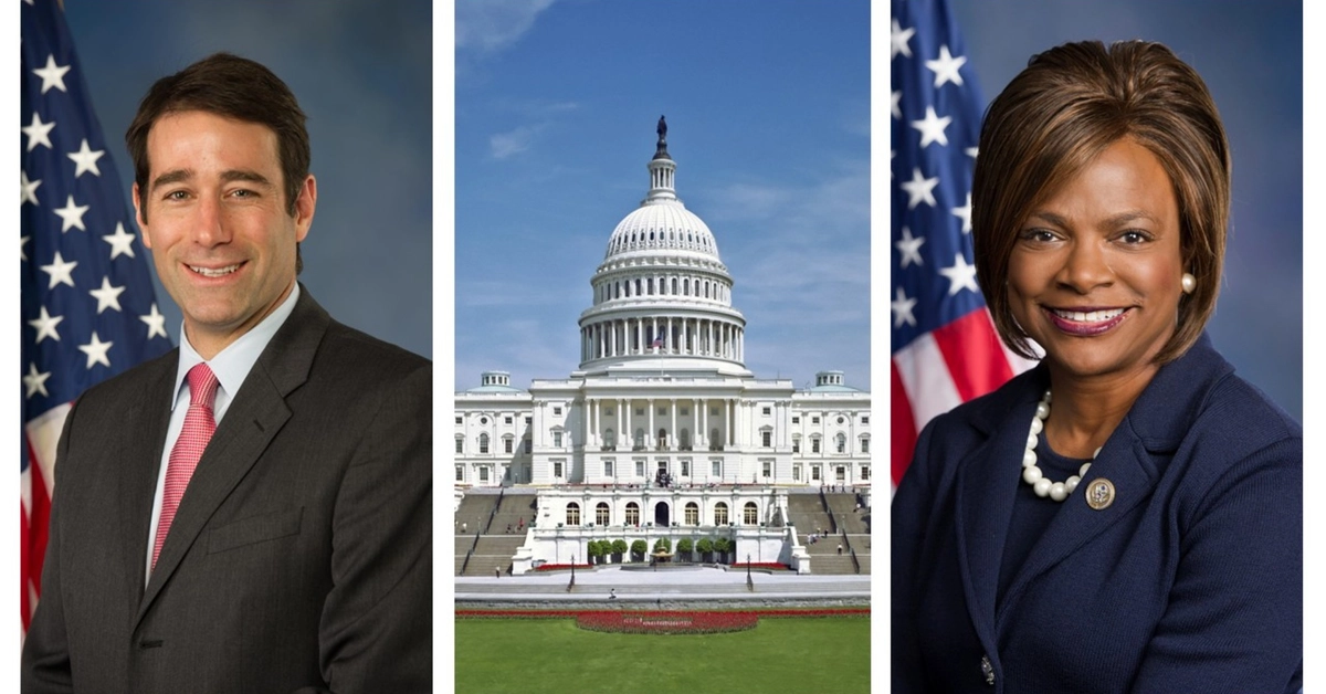 Making Sense of the Mid-Term Elections