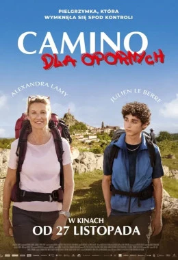 Camino for Dummies
