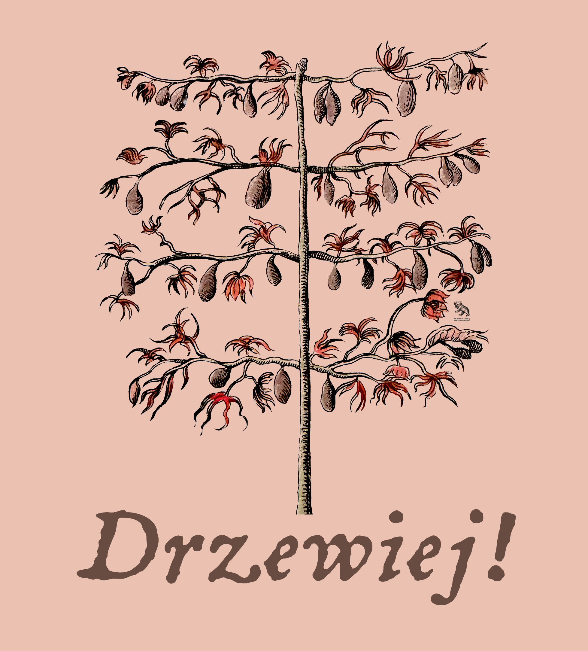 DRZEWIEJ! Weź do domu część Zamku, przygarnij sadzonkę leszczyny tureckiej