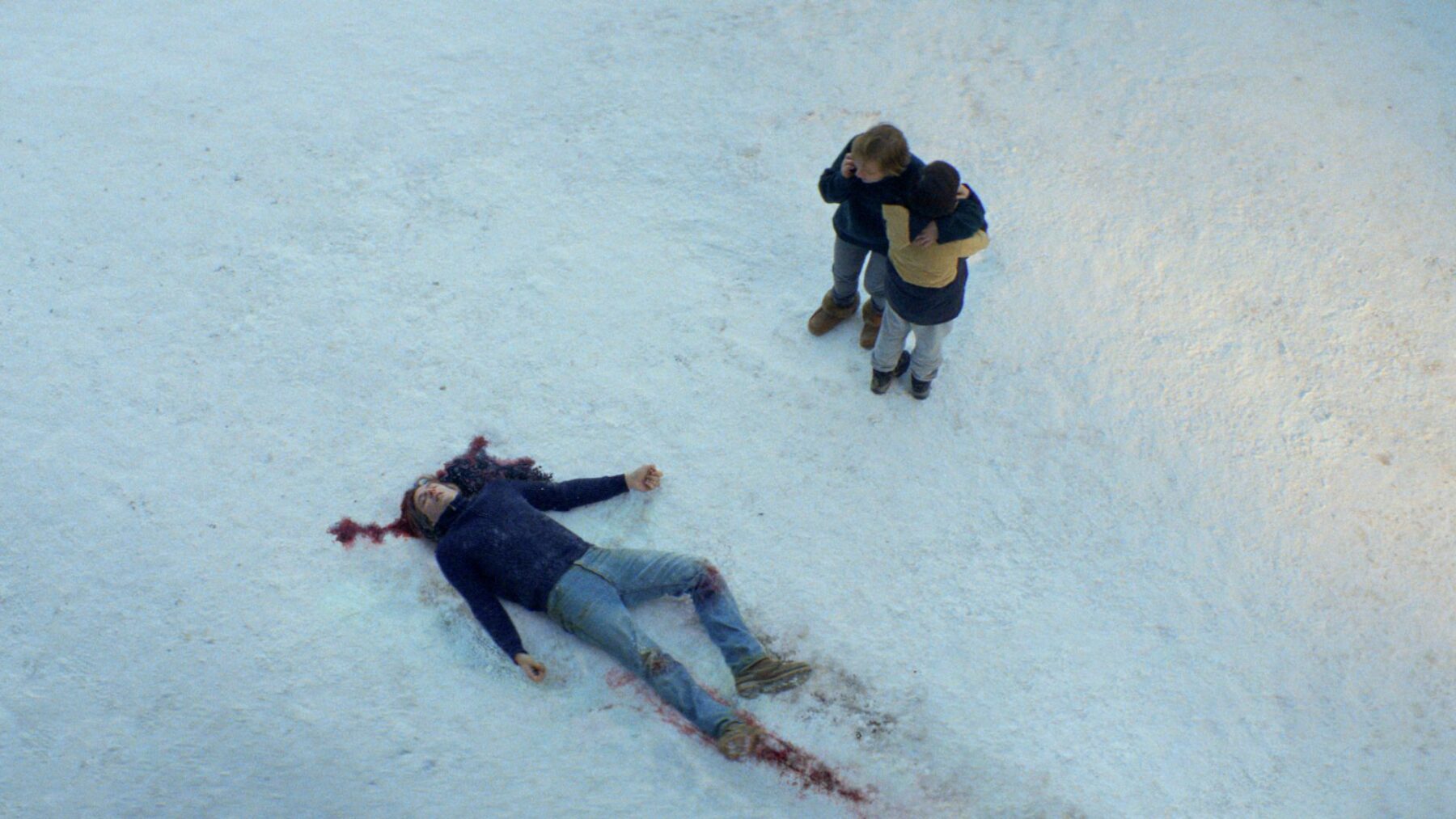 Anatomy of the Fall