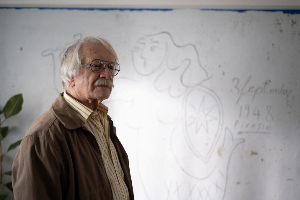 Picasso's Mermaid