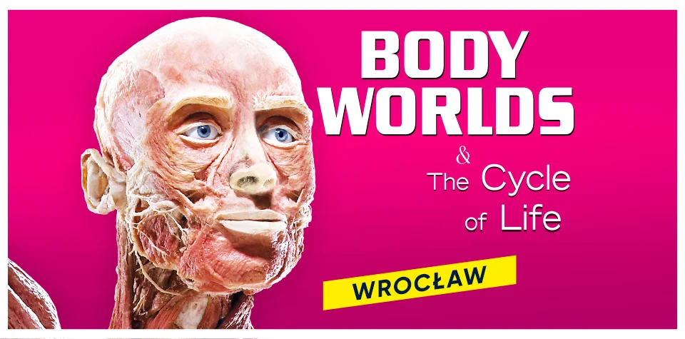 Exhibition Body Worlds & The Cycle of Life — Wrocław