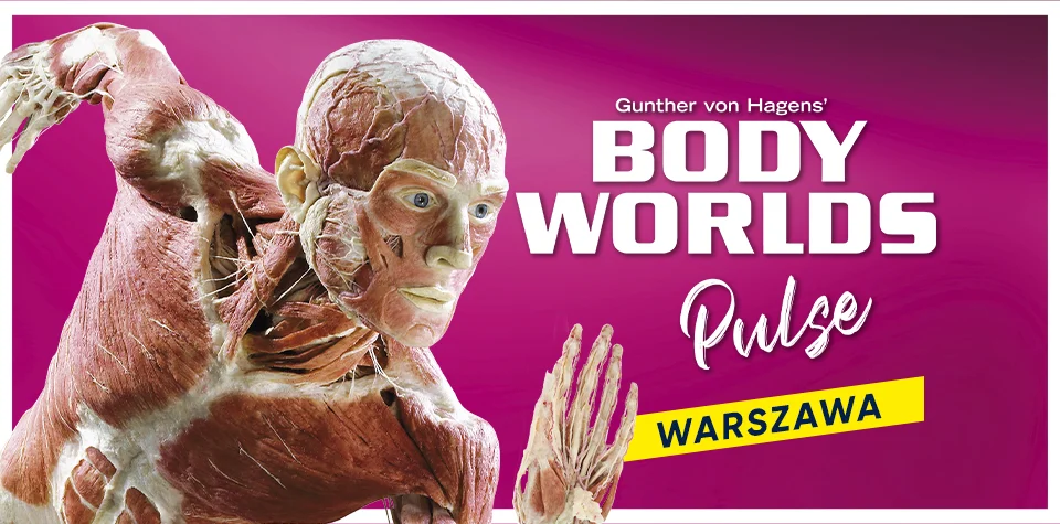 Body Worlds Pulse — Warsaw