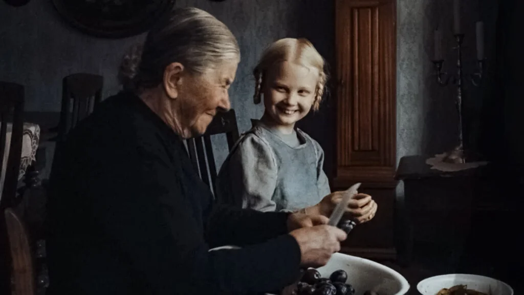 DokumentArt 2026 — Cultural exchange between neighbours as part of the European Film Festival for the 21st Szczecin Film Festival