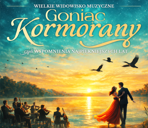 Chasing Cormorants - concert