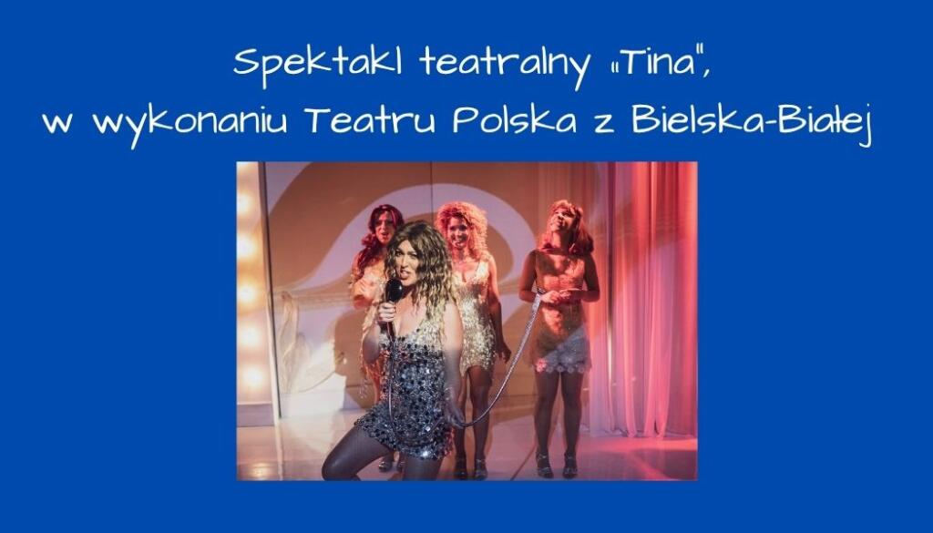 Theatrical performance “Tina”