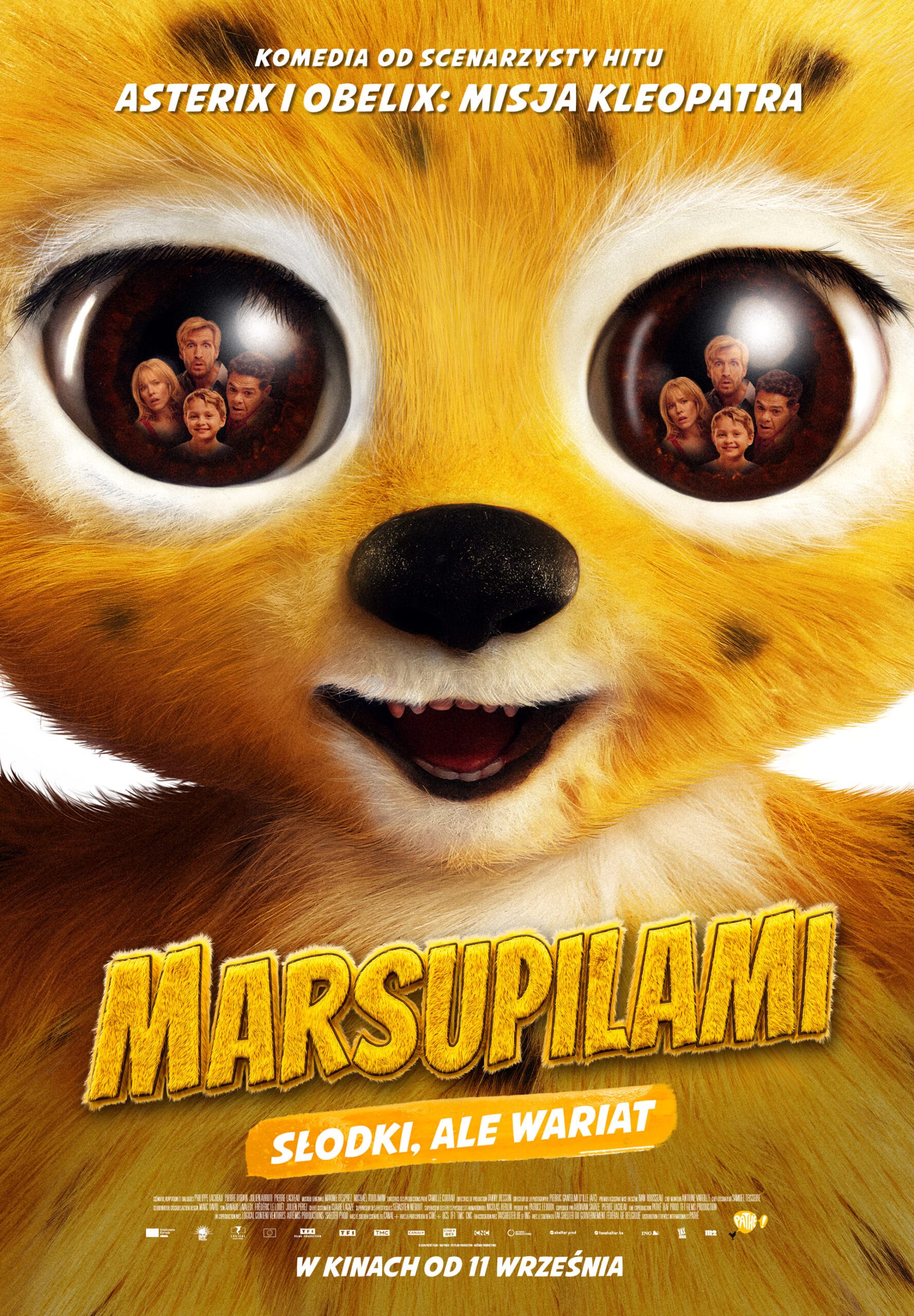 Marsuilami