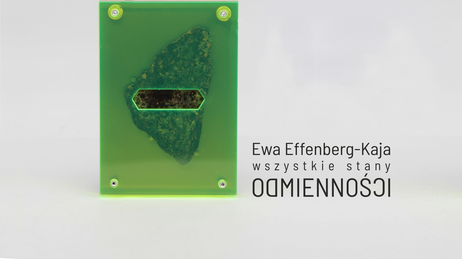 Ewa Effenberg-Kaja „Wszystkie stany odmienności”