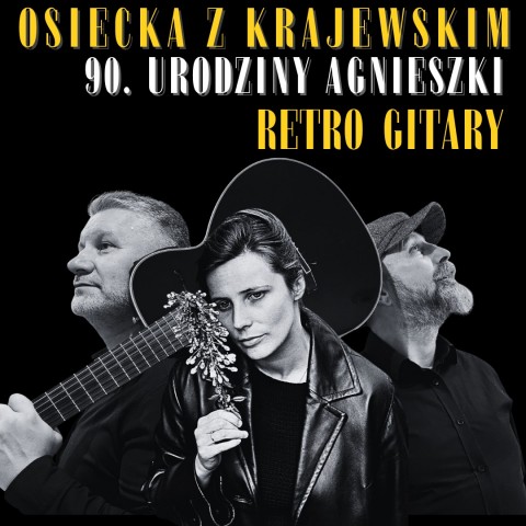 RETRO GUITARS concert