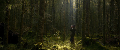 Documentary Dash: Songs of the Forest