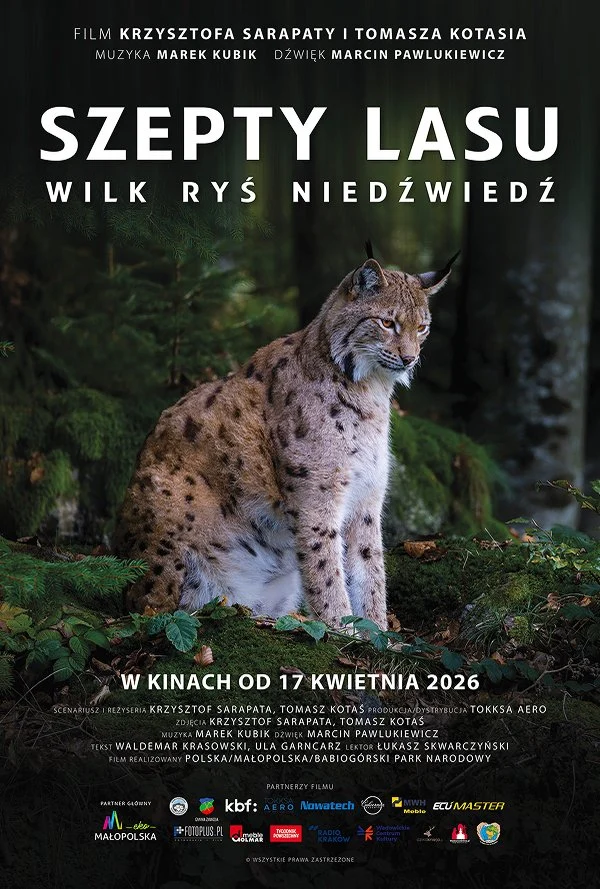 Whispers of the forest