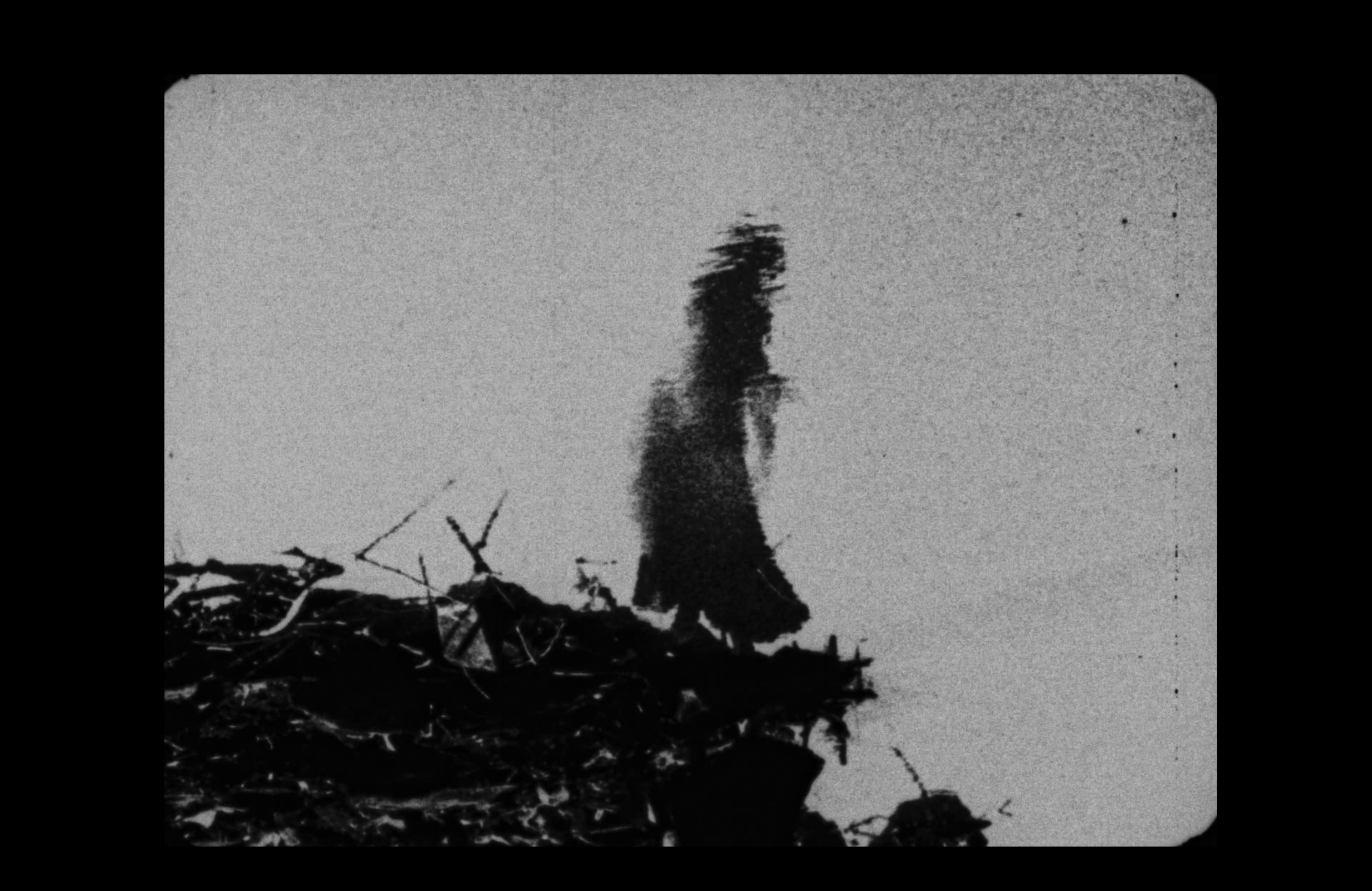 Begotten