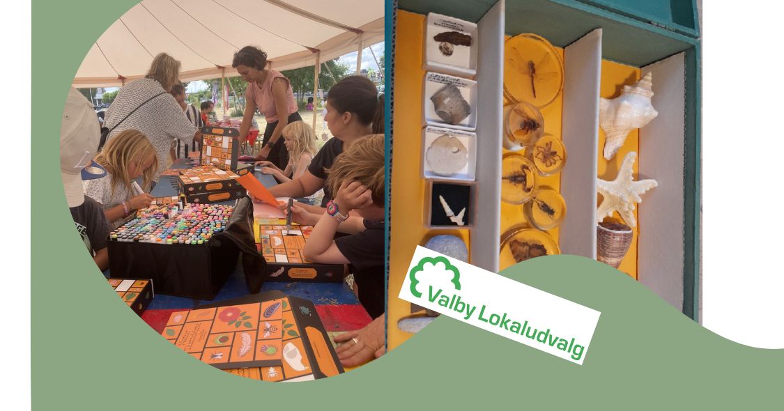 The natural treasure chest - your little museum