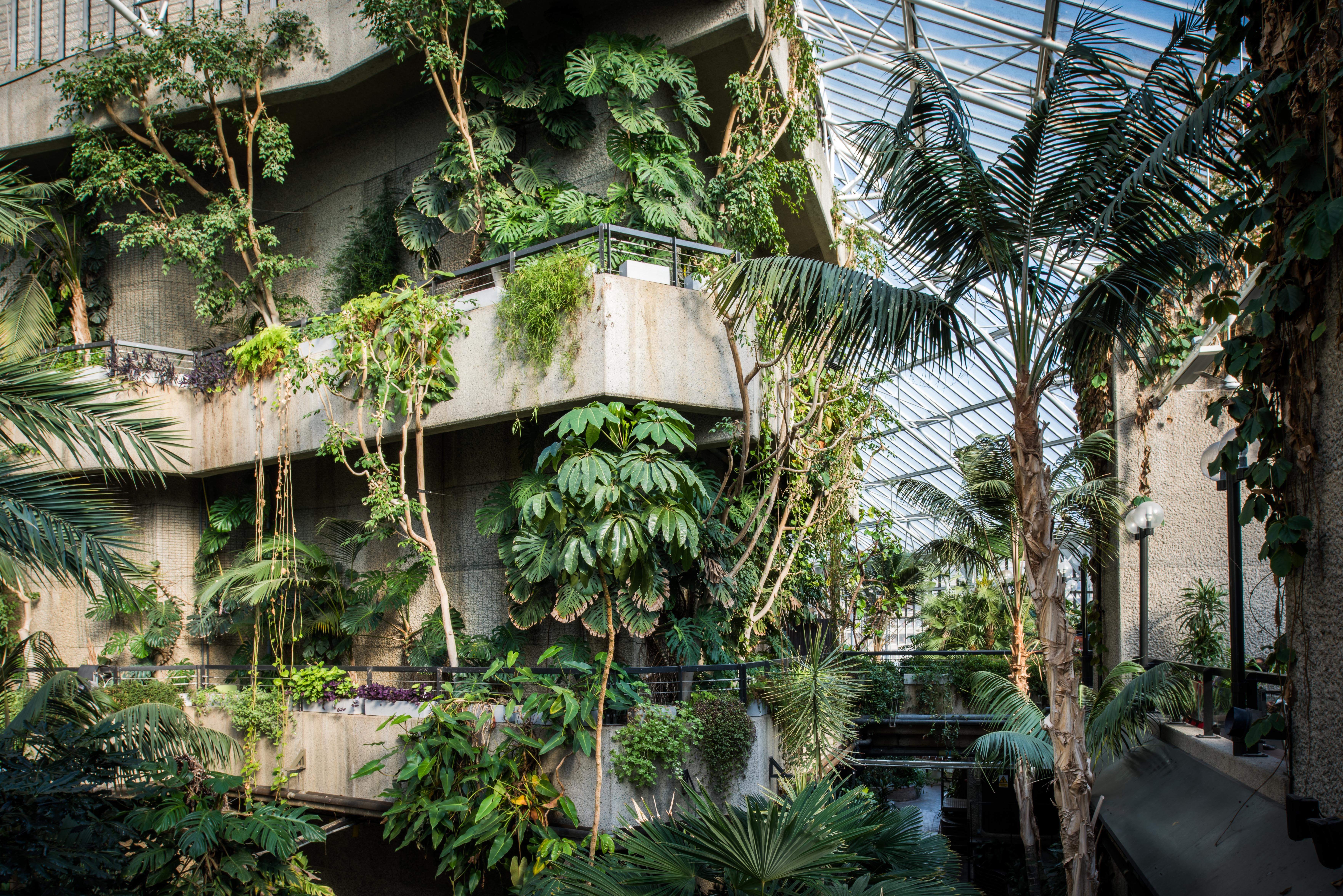 Relaxed Conservatory Opening