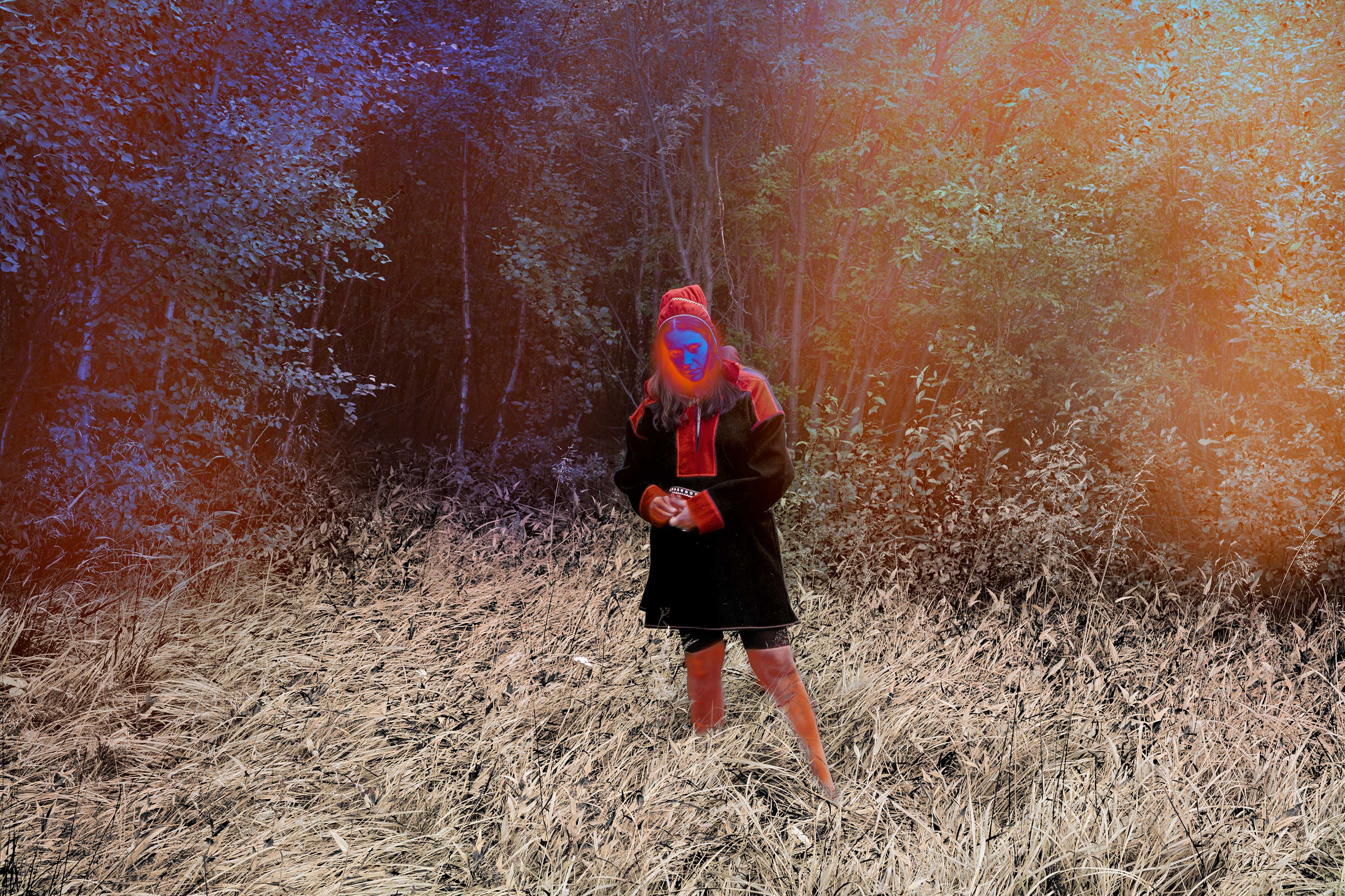 Sámi National Day