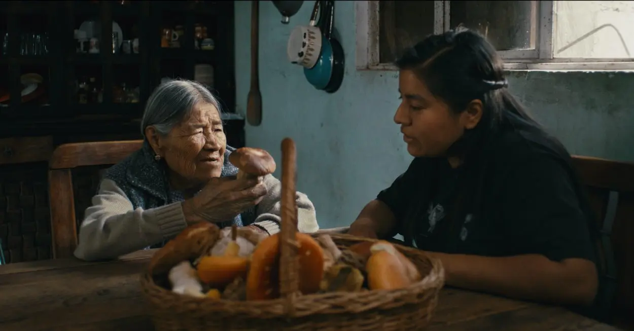 Screening of the film “Daughters of the Forest”