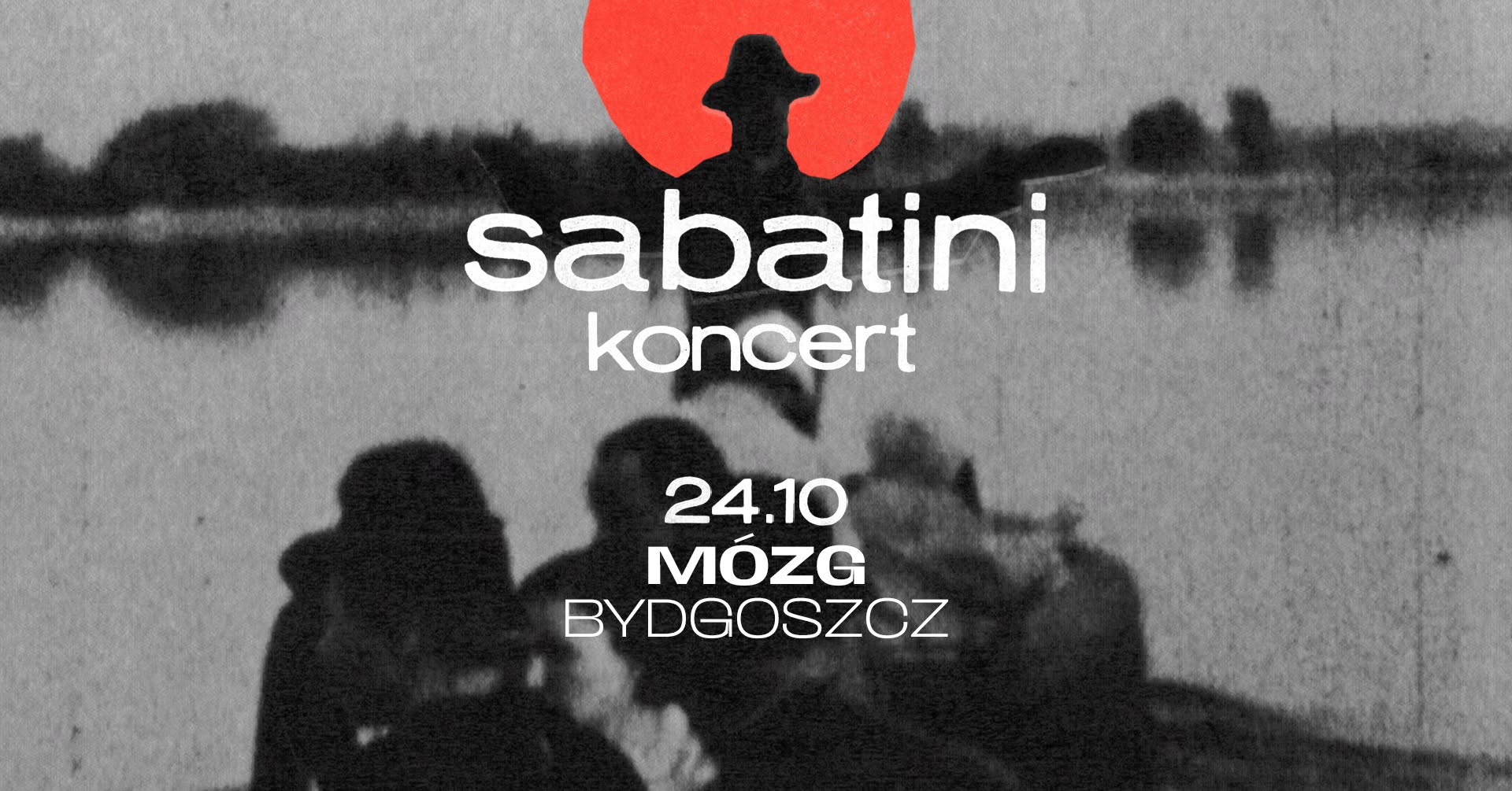 SABATINI in the Brain
