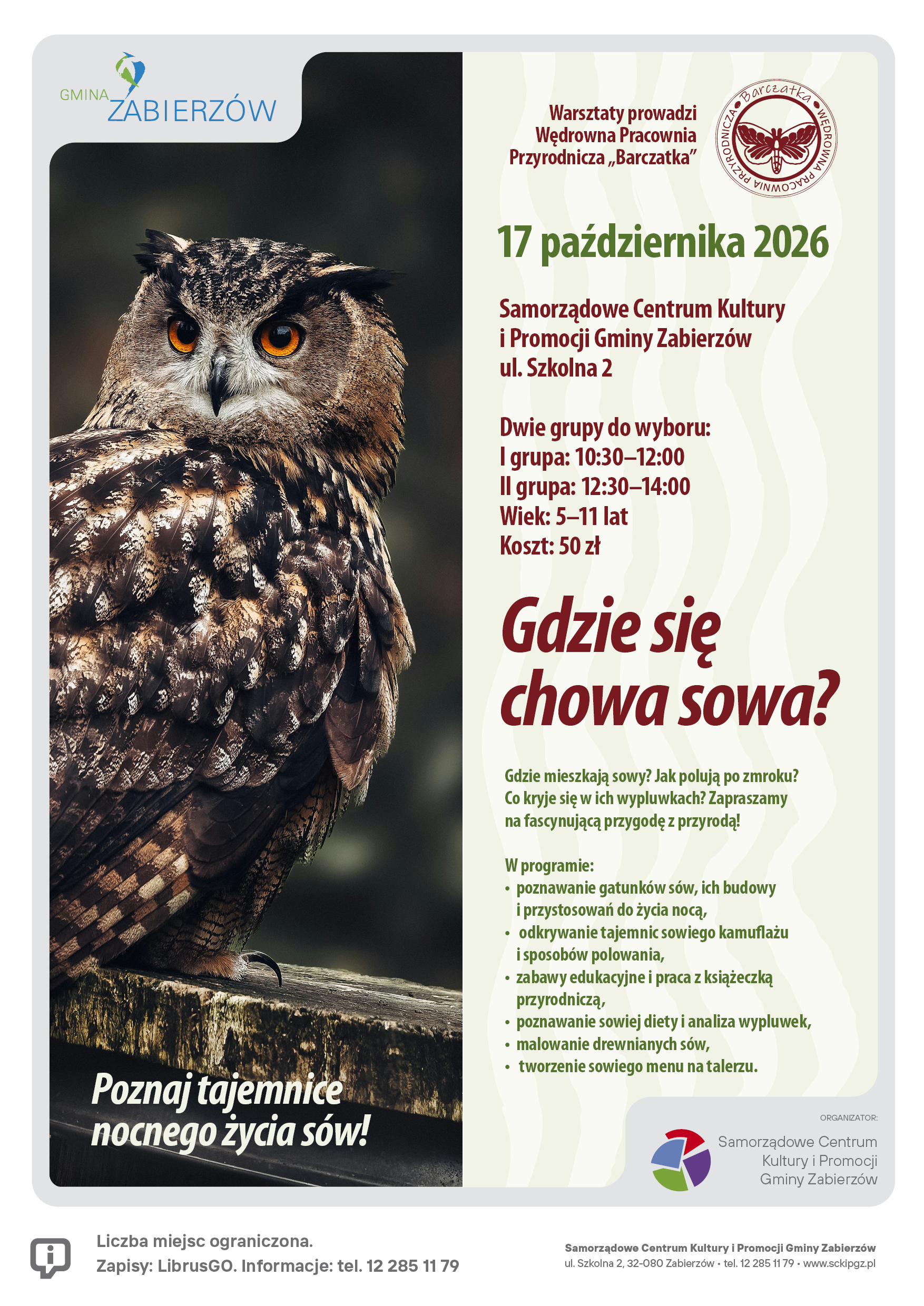 Nature workshop- “Where is the owl hiding?”