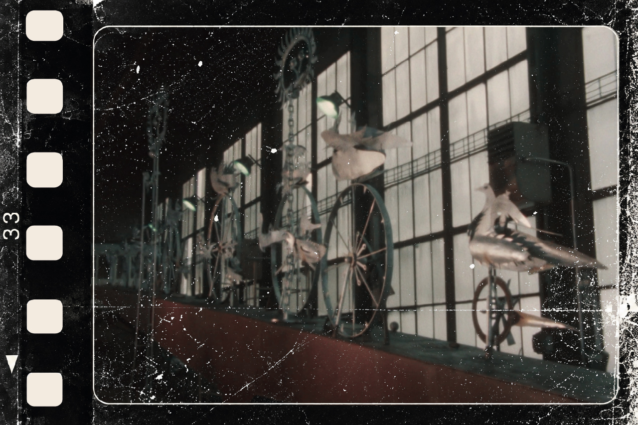 Filmed in the region. From the archive of TVP3 Szczecin | “Firebirds”