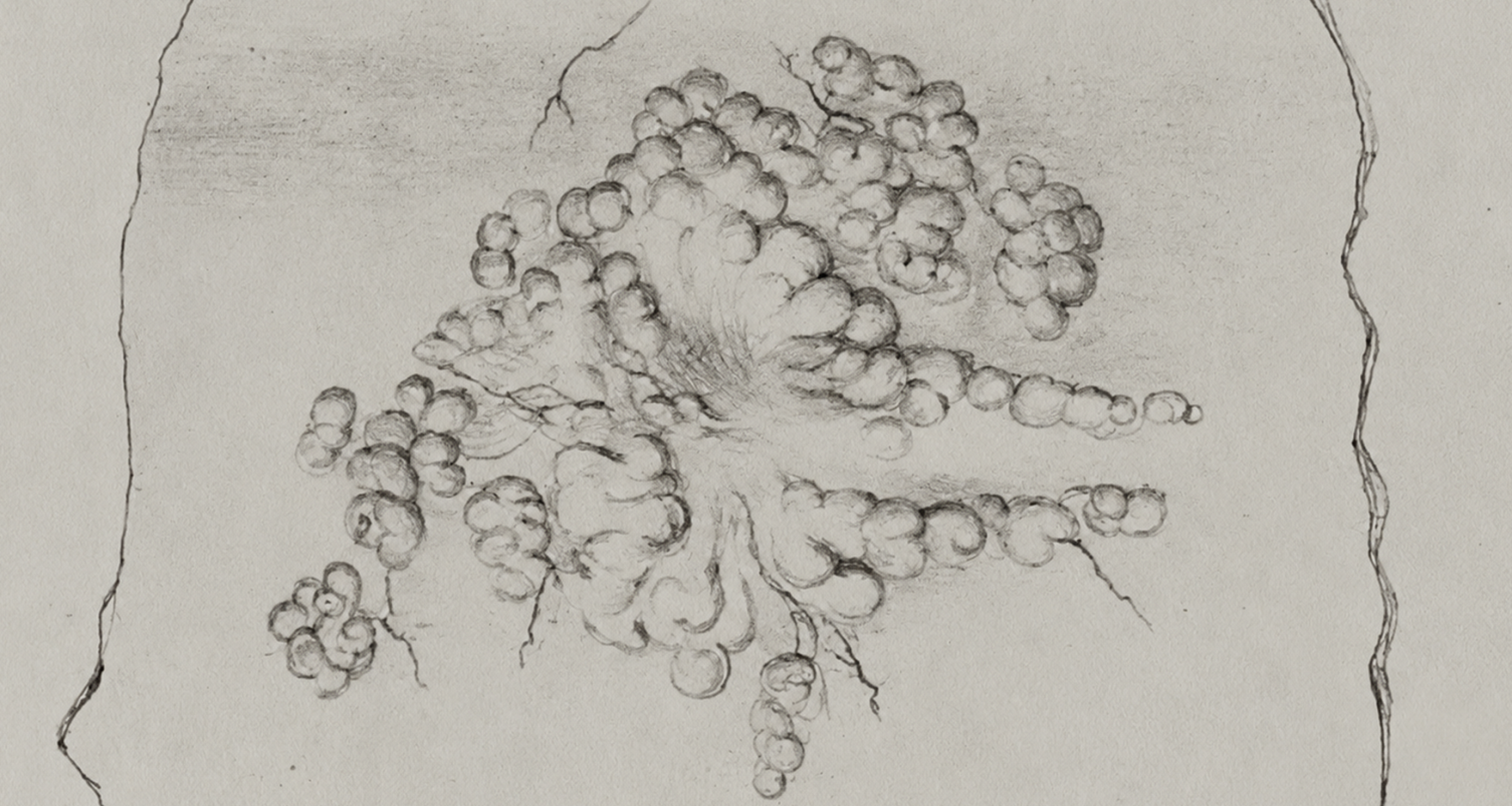 Landscape with disease — Justyna Stasiowska