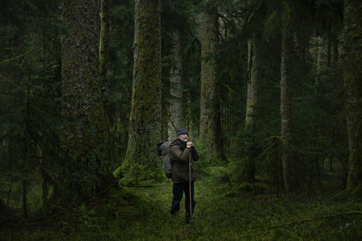 Songs of the Forest