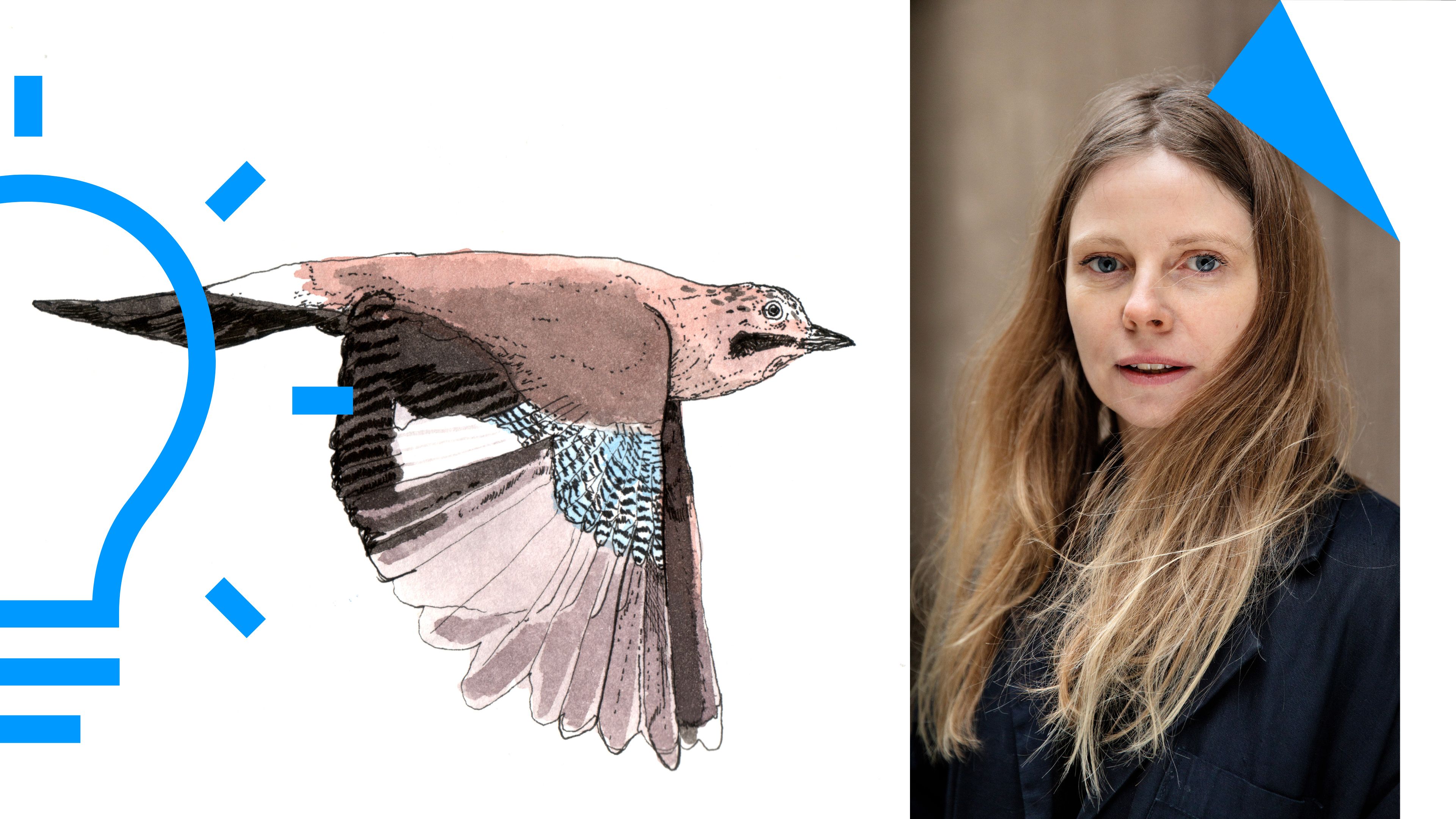 Draw birds with Signe Parkins - Drawing workshop for adults - EXTRA